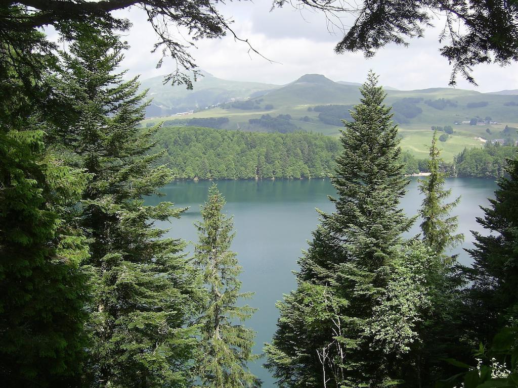 Aux Balcons Du Sancy Aparthotel Picherande ภายนอก รูปภาพ