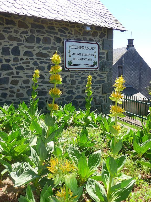 Aux Balcons Du Sancy Aparthotel Picherande ภายนอก รูปภาพ