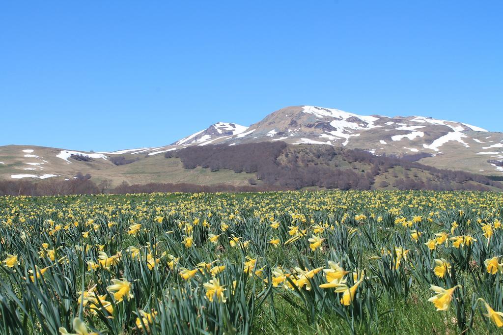 Aux Balcons Du Sancy Aparthotel Picherande ภายนอก รูปภาพ